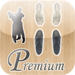 Ballroom Dancing Basics - Premium Edition!