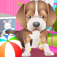 Pet Care Center